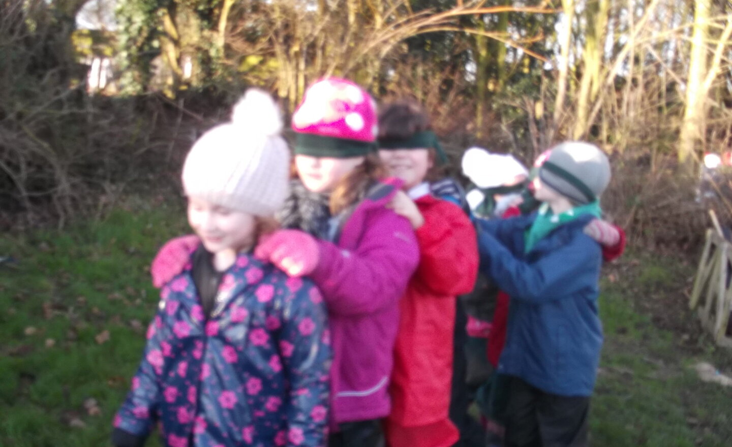 Image of Forest Schools